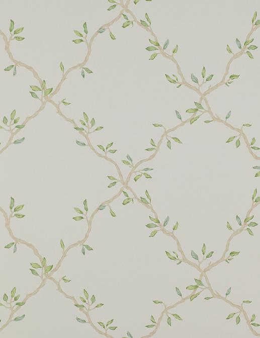 Обои Colefax and Fowler Small Designs 07706-03