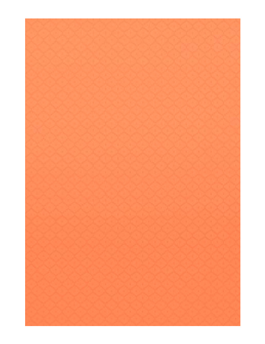 Обои Thibaut Caravan T64175