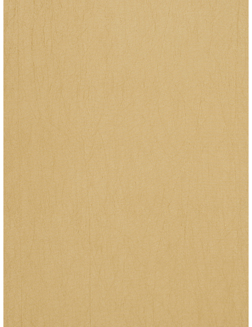 Ткань Trend Silky Solids Drapery 02838/Wheat