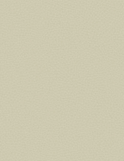 Обои Carl Robinson Edition 17 - Loft CR83007