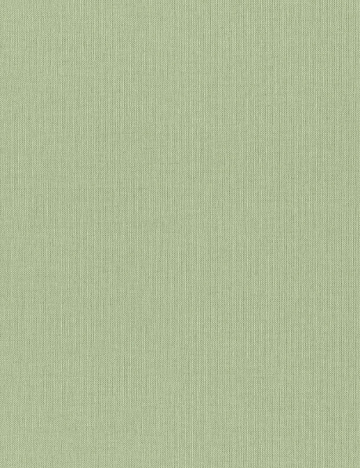 Обои Rasch Wall Textures XL Vol3 960716