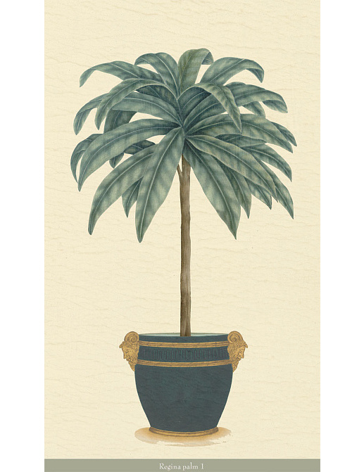 Панно и фотообои Iksel Scenic & Architectural Wallpapers Potted Palms PTT Regina palm 1