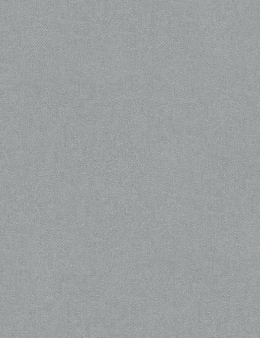 Обои A. S. Creation Titanium 881823