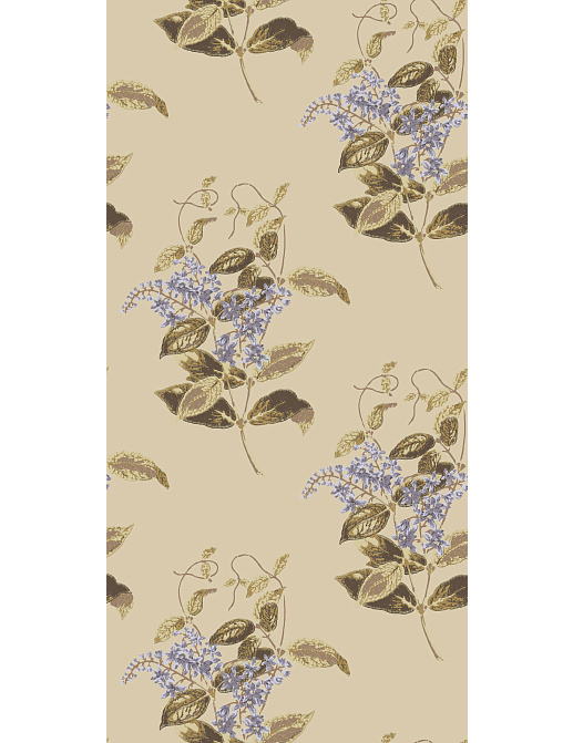 Обои Cole & Son Collection of Flowers 81/6026
