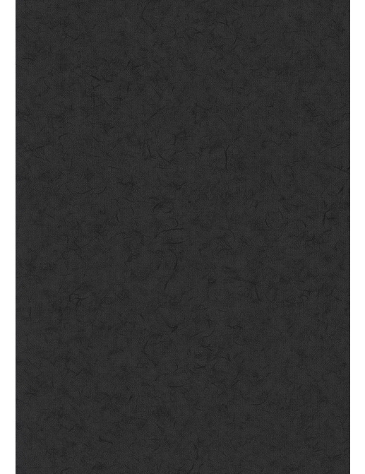 Обои BN International Glassy BN 218316