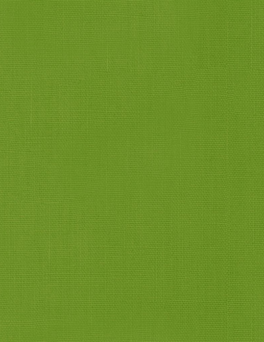 Ткань Designers Guild Brera Lino 2 F1723/23