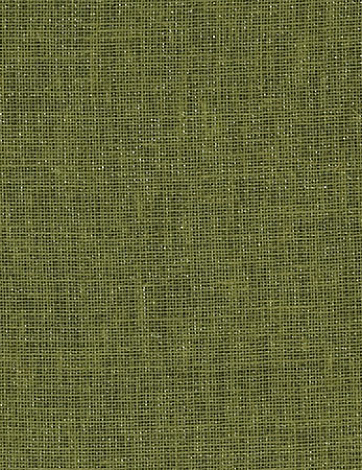 Ткань Designers Guild Bilbao F1561/27