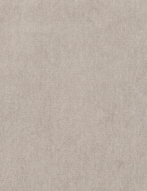 Ткань Bart Halpern Velveteen 18100-20