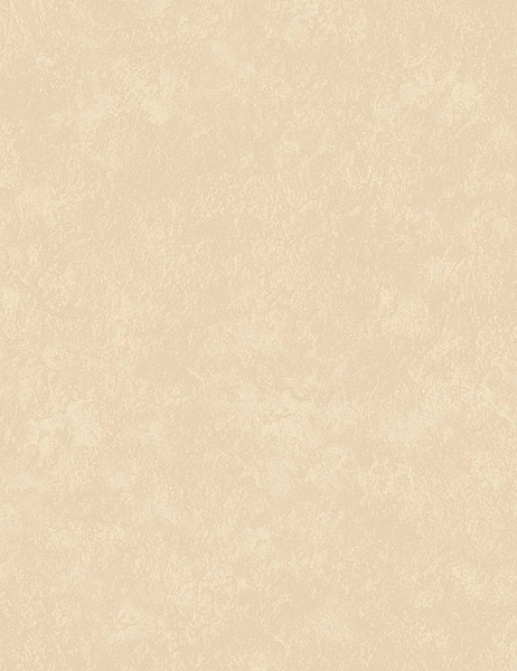 Обои Loymina Impress Stucco002