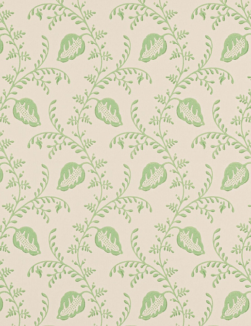 Обои Colefax and Fowler Small Design Wallpapers II W7009-04