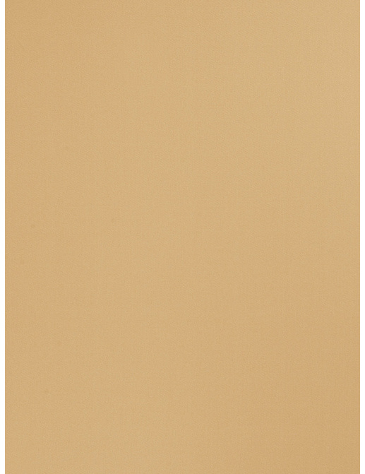 Ткань Trend Multipurpose Sleek Satin Vol.II 02022/Buff