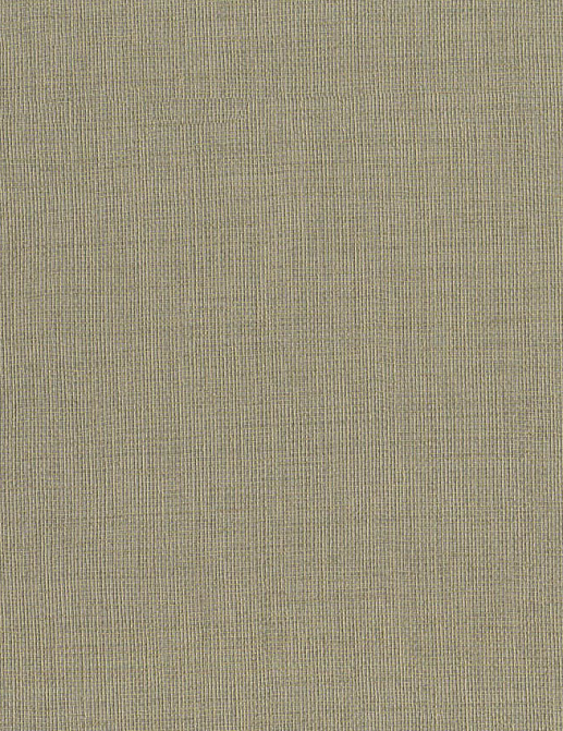 Обои Jannelli & Volpi 161 Arashi 5983
