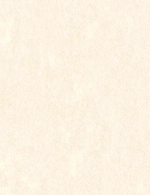 Обои Aura Plain Resource vol. 1 MS-171001