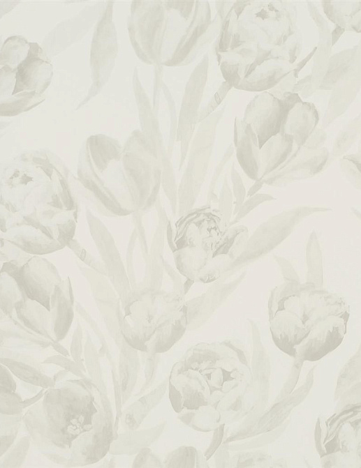 Обои Designers Guild Marquisette PDG685-06