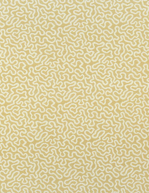 Ткань Thibaut Woven Resource vol.7 Companions W79656