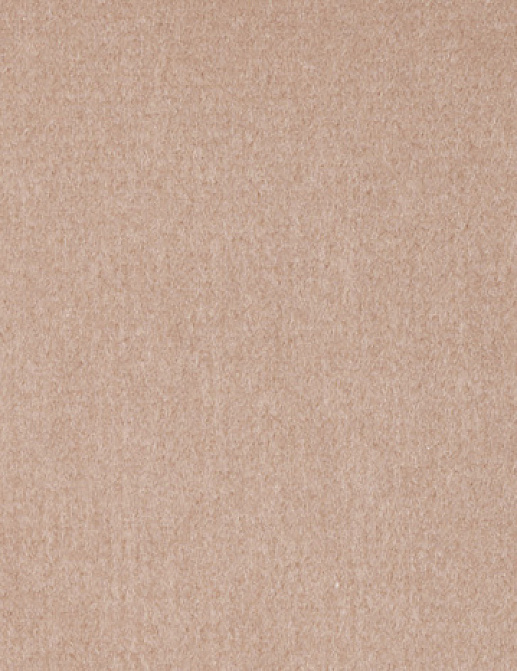 Ткань Alessandro Bini Velluto di Cotone G075/456