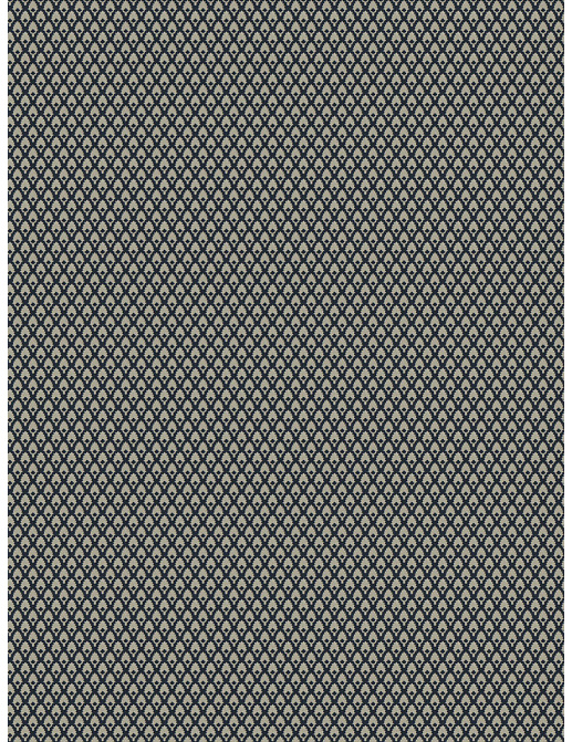 Ткань Fabricut Chromatics Vol.XXVI Azure Rafacz/Navy