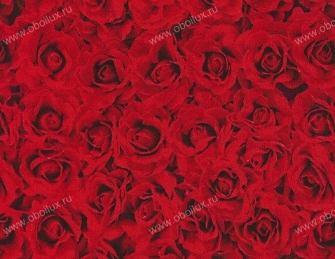 Обои Giardini Phlora & Phauna PH0115