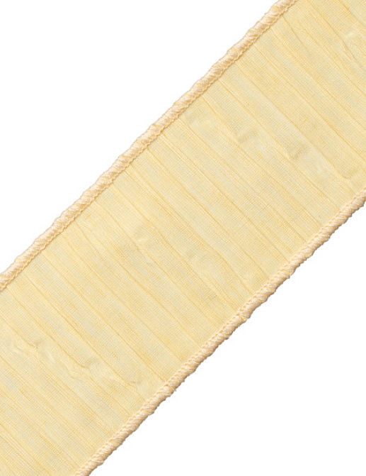 Тесьма Samuel & Sons Encore Collection BT-58841/13