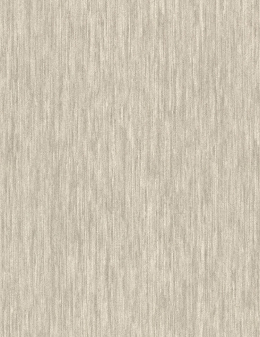 Обои Rasch Wall Textures XL Vol3 968569