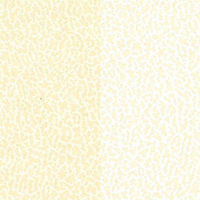 Обои Thibaut Stripe Resource IV T2874