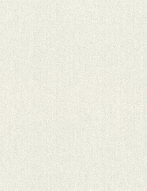 Обои Rasch Wall Textures XL Vol3 979350
