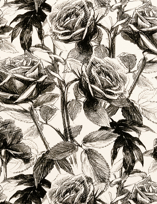Ткань Clarke & Clarke Floribunda F0474/02