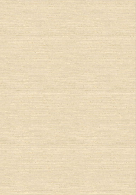 Обои Elitis Madagascar Arrowroot Raw Raffia VP105003