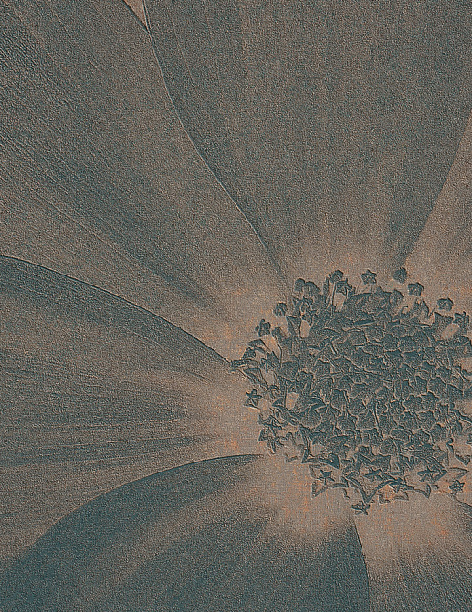 Панно и фотообои Italreflexes Macro Flower-013/Copper