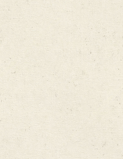 Обои Rasch Wall Textures XL Vol3 974201