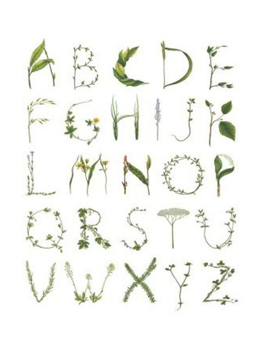 Панно и фотообои Rebel Walls No 3 Greenhouse R13191