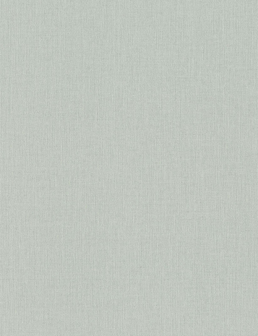 Обои Rasch Wall Textures XL Vol3 960792