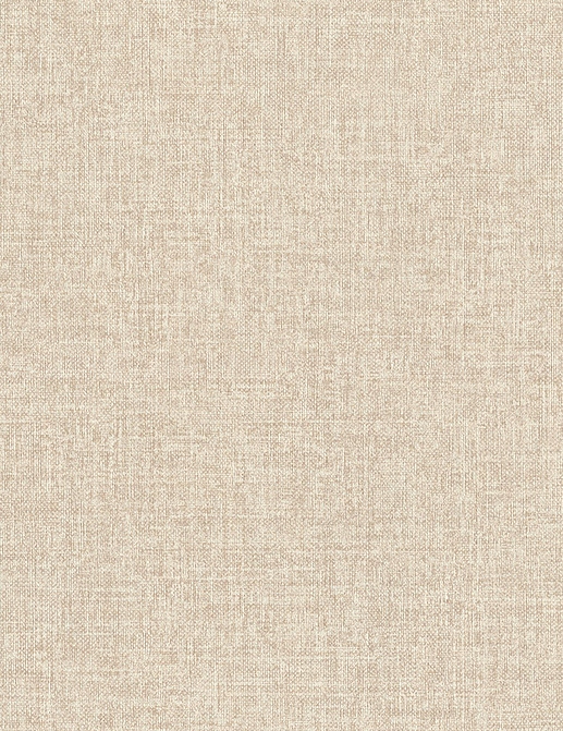 Обои Rasch Настенные структуры. Том 4 / Wall Textures XL Vol. 4 970555