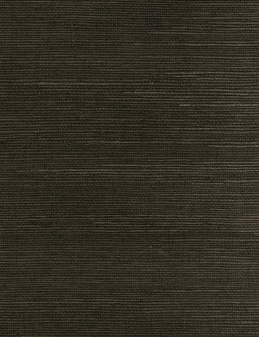 Обои Paper & Ink Pure Elements SY21896