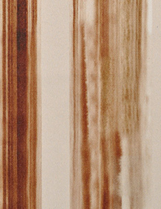 Обои Innovations Collection Watercolor WTP-05 RAW UMBER