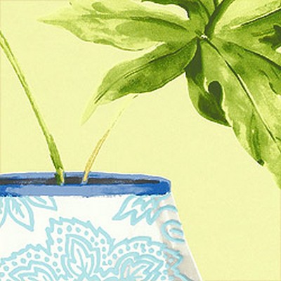 Обои Thibaut Waterlily T1153
