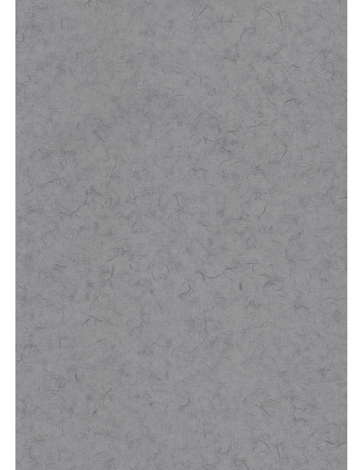 Обои BN International Glassy BN 218309