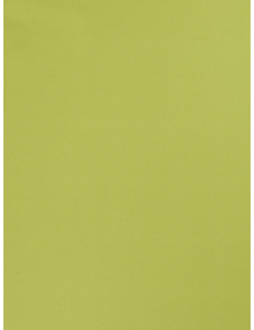Ткань Trend Multipurpose Sleek Satin Vol.II 02022/Kiwi