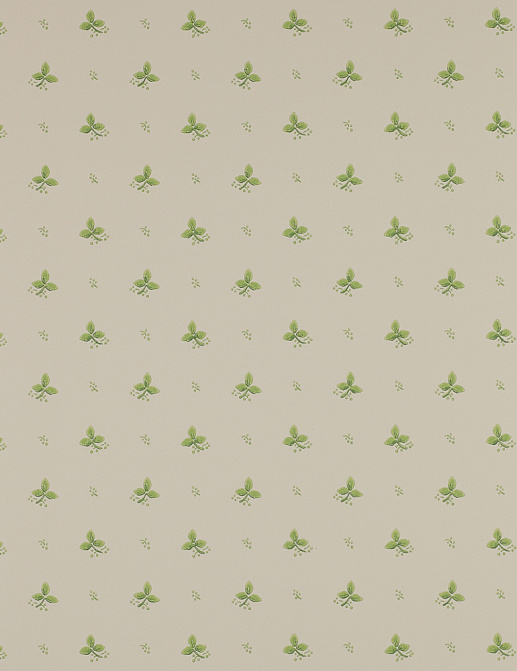 Обои Colefax and Fowler Small Designs 07406-06