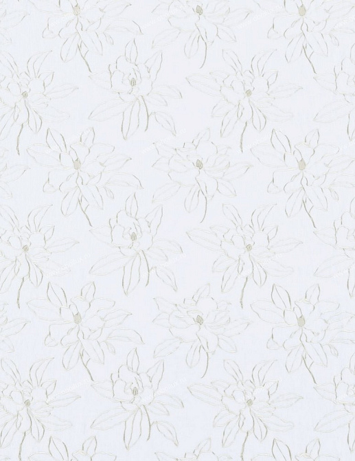 Обои Sanderson Classic Collection II DCLAMG102