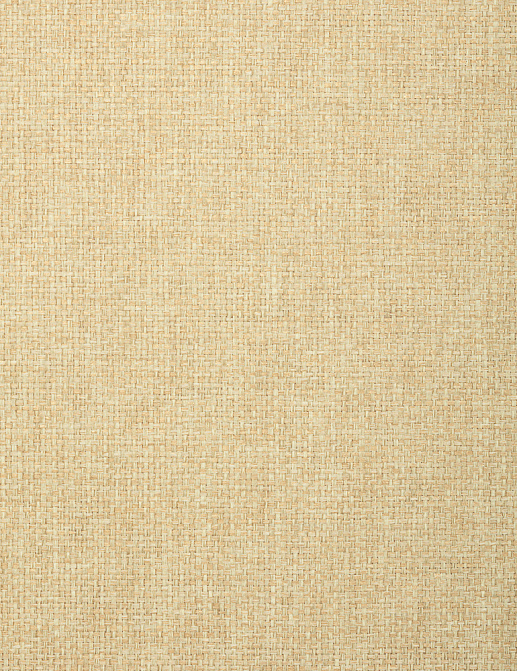 Обои Thibaut Grasscloth Resource 4 T72868