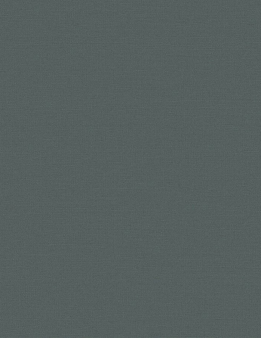 Обои Loymina Equator QTR8-005-1