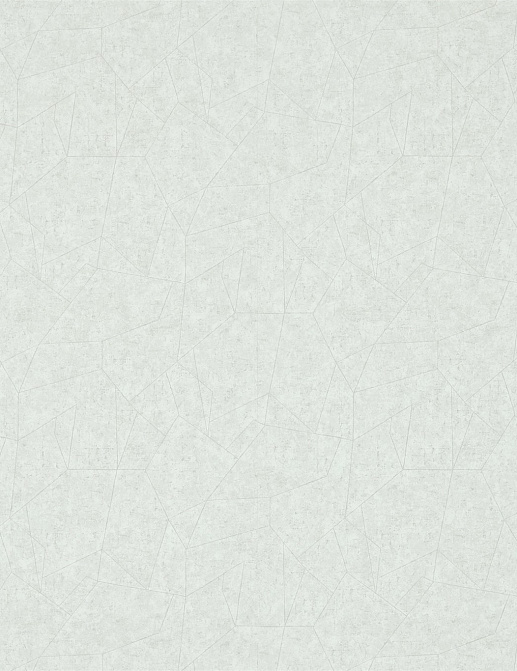Обои Zoffany Prism Vinyls 311791