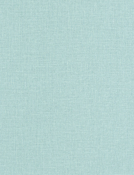 Обои Caselio Jute JTE104016118