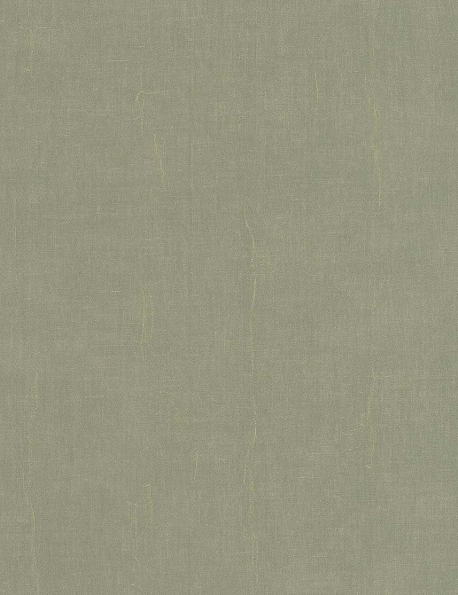 Обои Casadeco Etamine ETAM200257667
