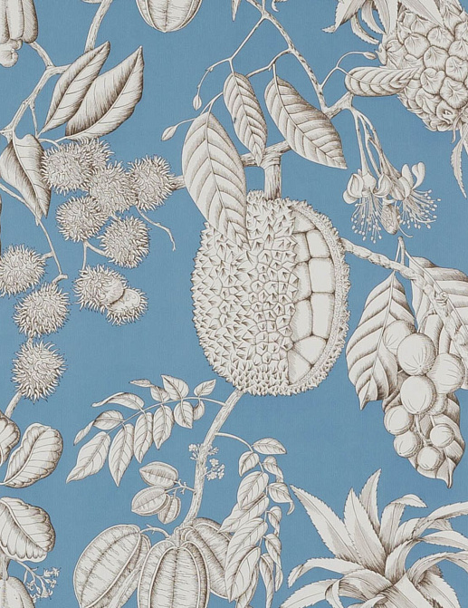 Обои Manuel Canovas Balangan 03106-04