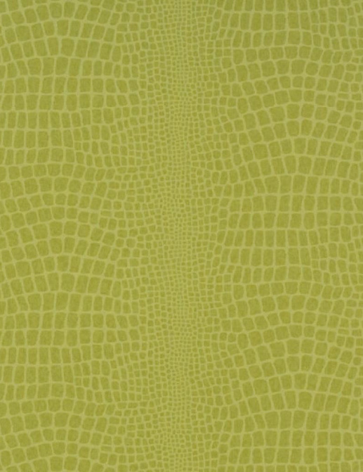 Обои Designers Guild Naturally III P544/14