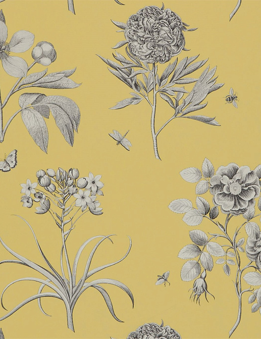 Обои Sanderson Parchment Flowers DPFWER104