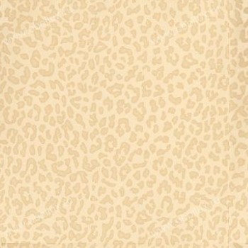 Обои Zoffany Trade Routes TRA01005