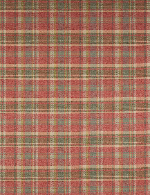 Ткань Colefax and Fowler Magnus Checks F4721/04